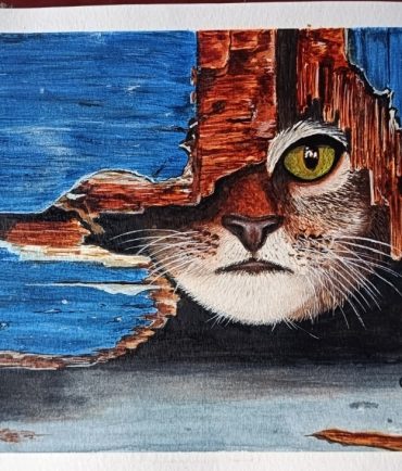 ff-460702de4e838160f41e27fb1e197777-ff-1000472612